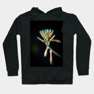 Aloe Vera Flower Hoodie